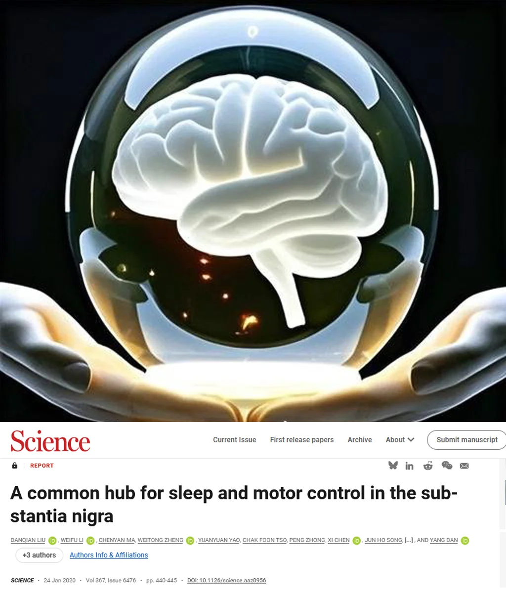 Science重磅-“鬼压床”的机密解开了