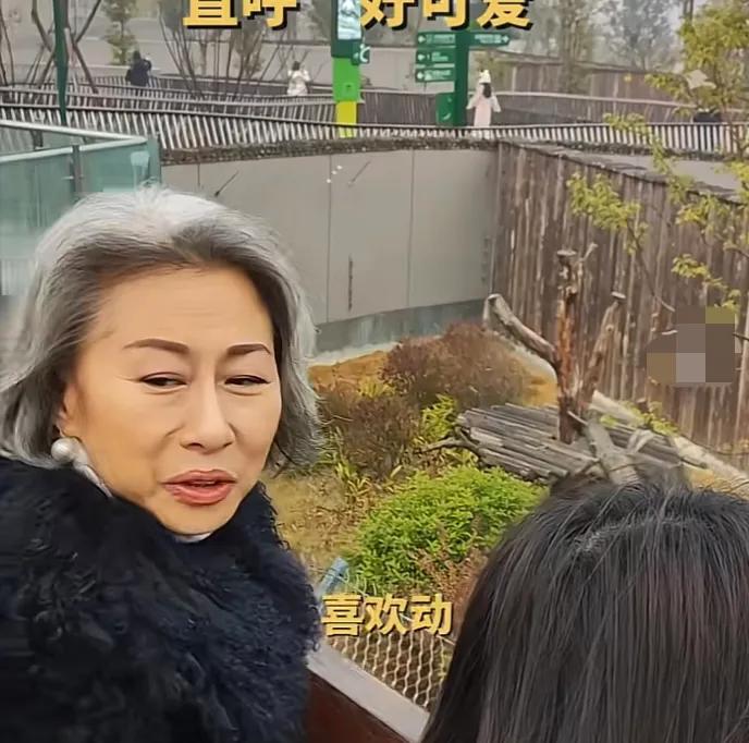 62岁叶倩文，冲上热搜！

1月11日，深夜，知名歌手叶倩文突然冲上了热搜，这一
