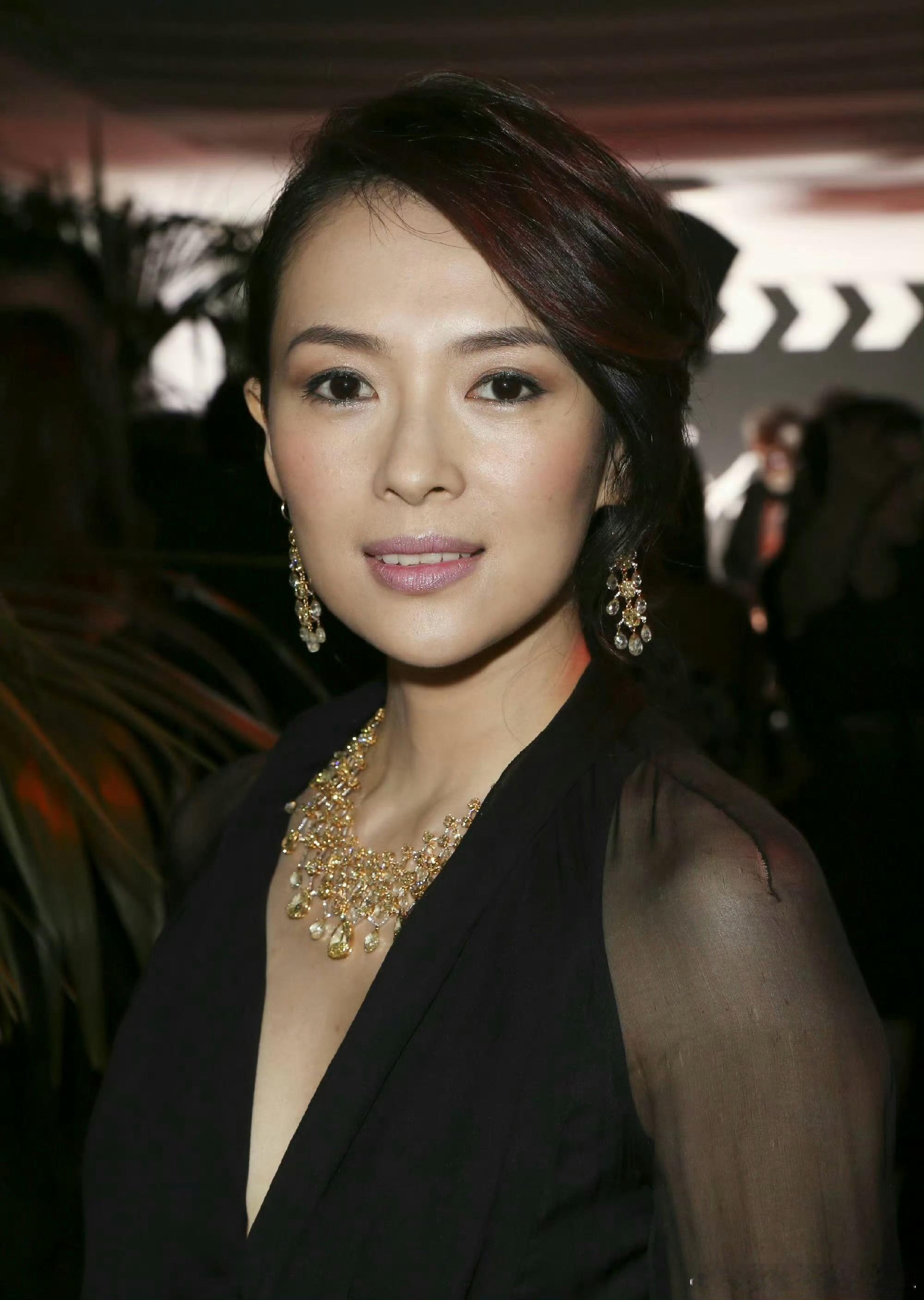 国际章  2014年萧邦晚宴上，这条圣罗兰的裙子有点美啊