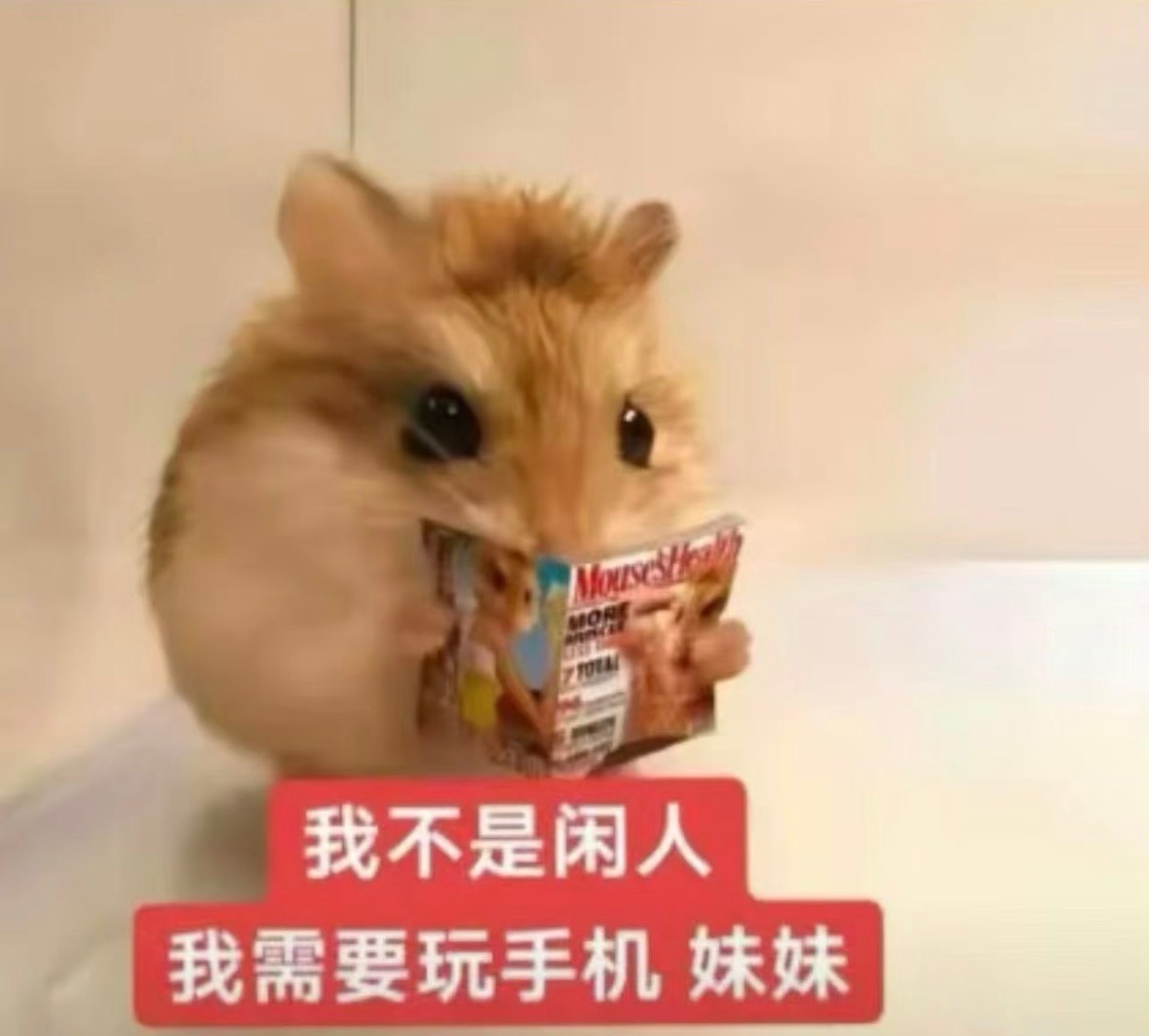 我不是闲人，我需要玩手机 