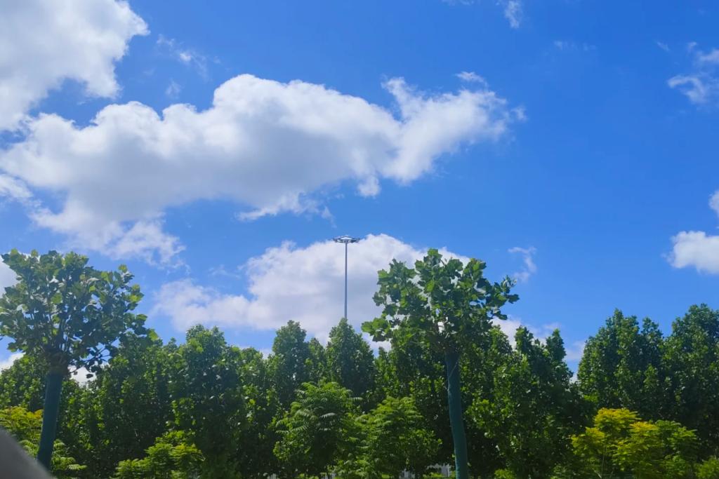 雨后地衣卖天价，捡拾尝鲜别忘安全
亲爱的朋友们大家好，我是海林小百科，今天我们来