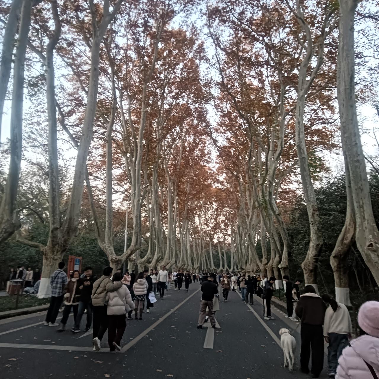 读书一天读16个小时的不一定考的过一天读8个小时的。努力学习不一定成绩好，读书把