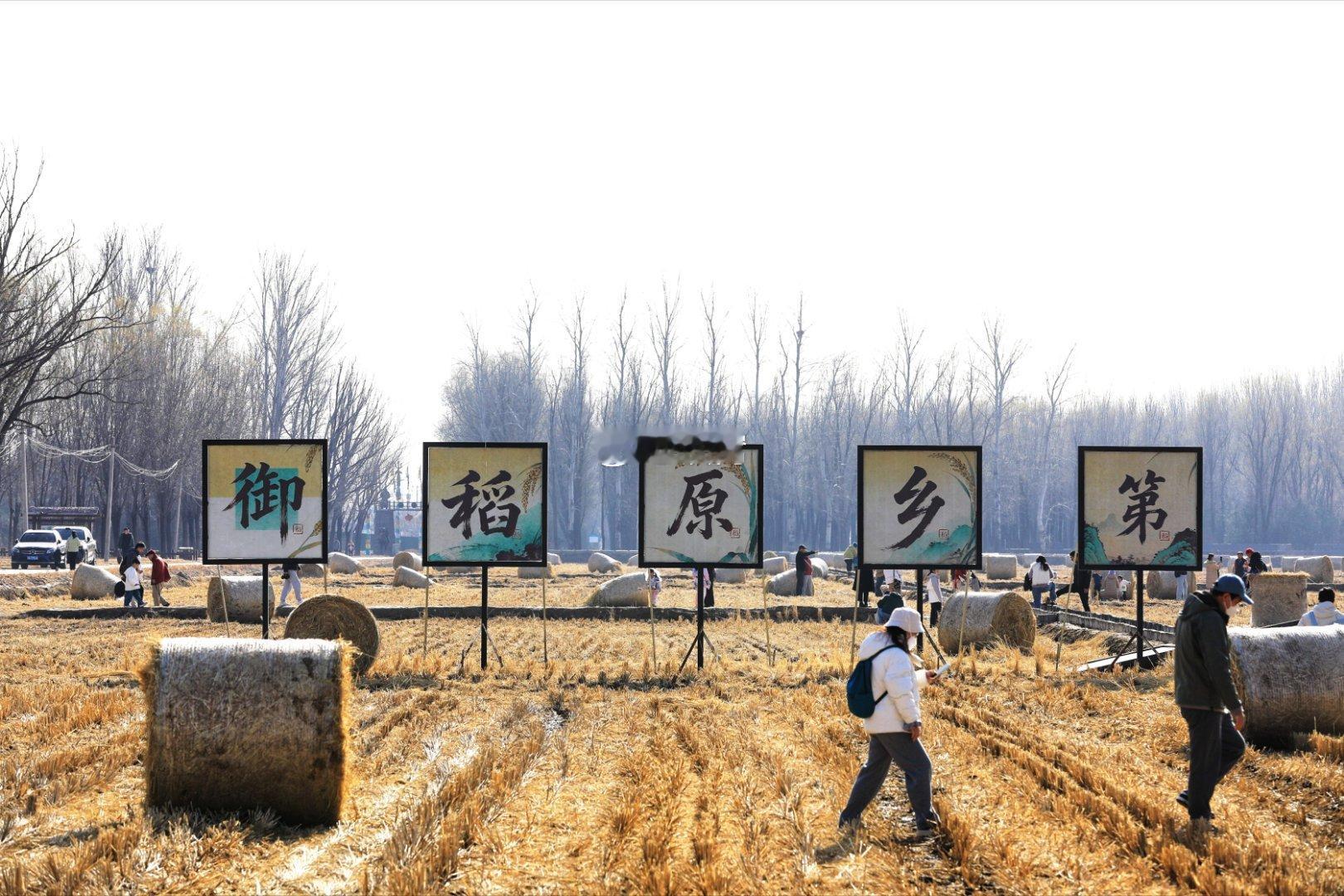 北京海淀上庄稻香花海“瑞士卷”北京你好 摄影