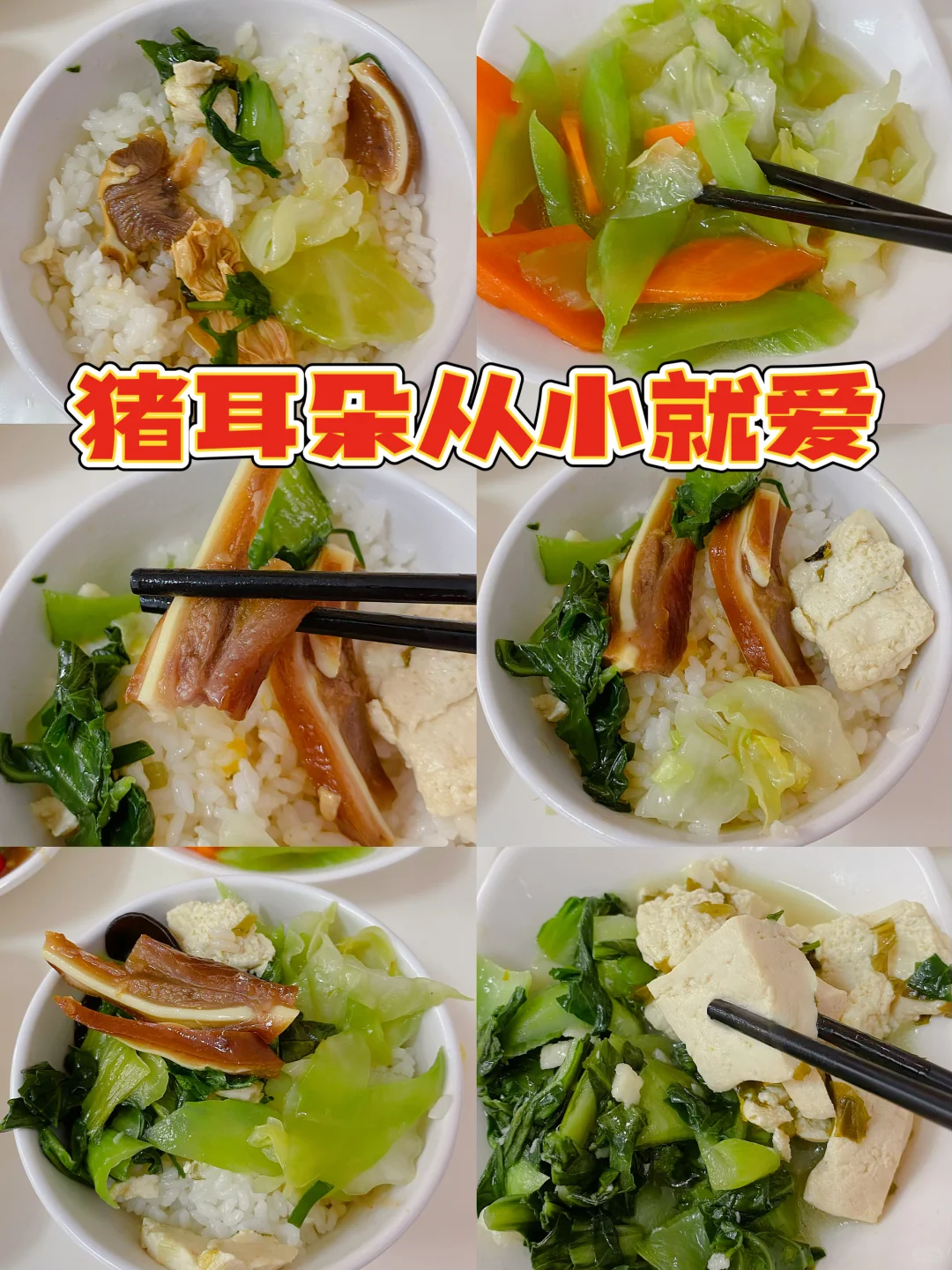 📅8.19｜好好吃饭｜糯叽叽的一天～