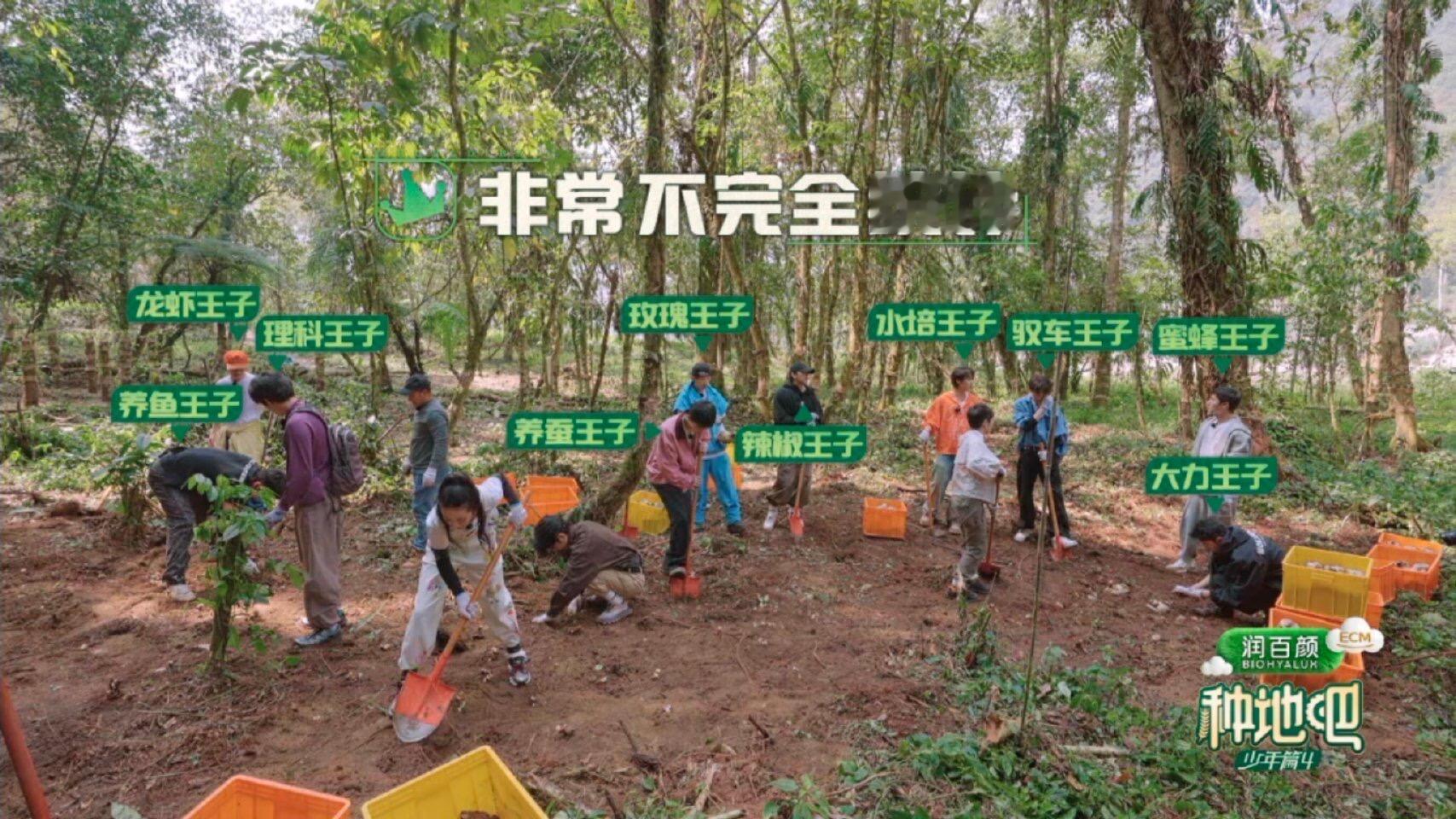 张泉灵问十个勤天有多少个王子张泉灵：我只是来种地的，不是来认王子的！十个勤天每个
