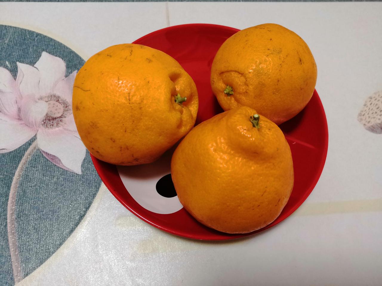 今天早上，我一进水果店，就想起了宁夏一个网友说实现了粑粑柑自由:3块钱一斤！于是