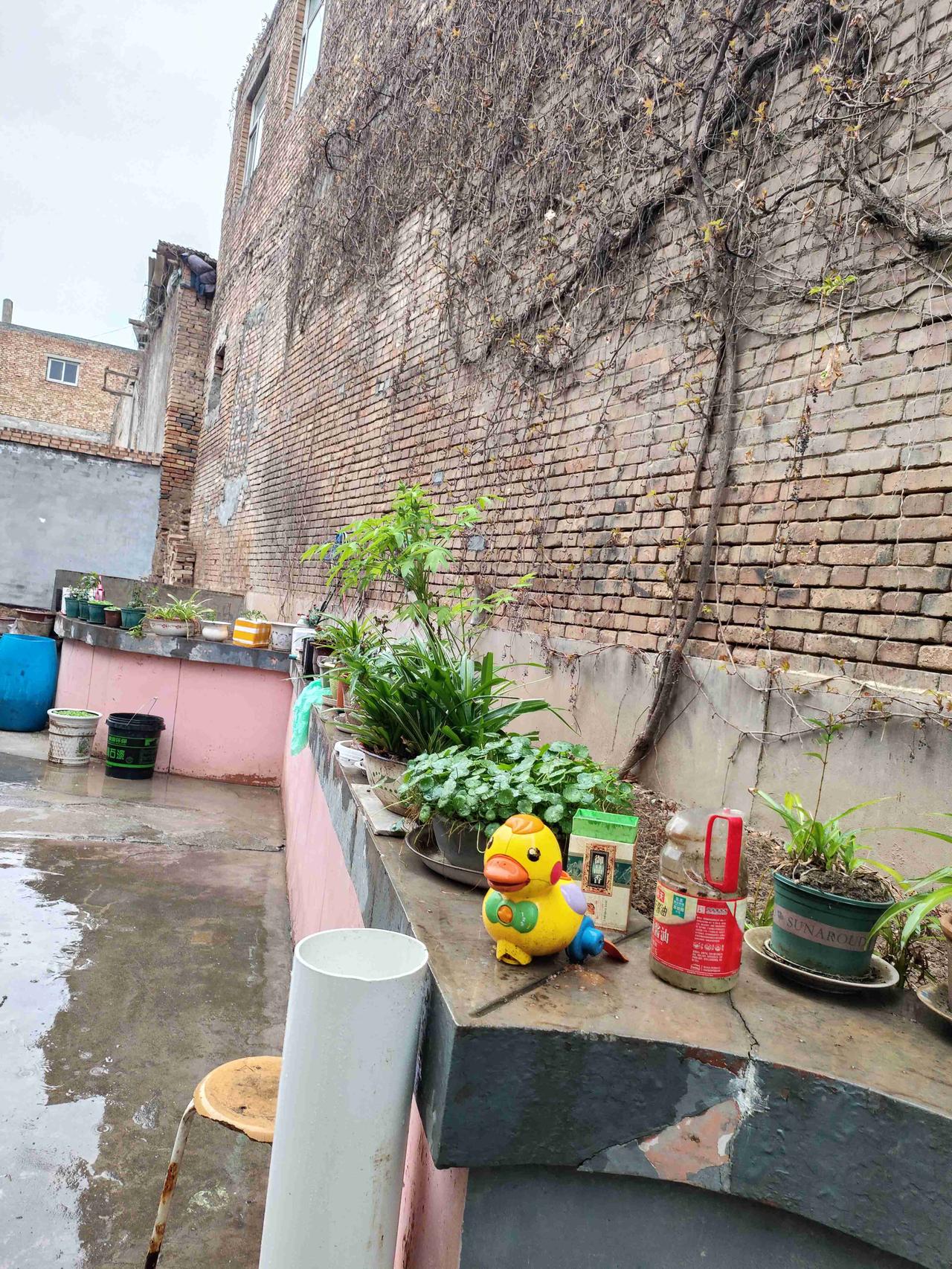我的今日状态：😁轻松愉快
我这里的天气：🌧下雨