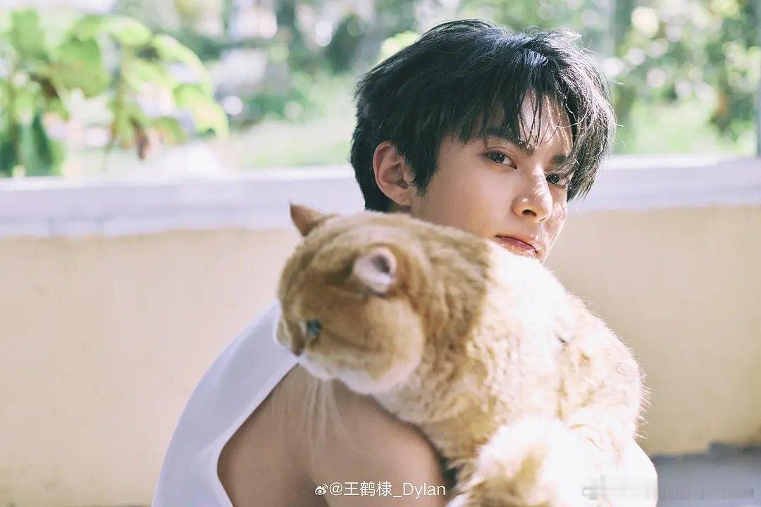 王鹤棣这套照片真的好“阳光开朗大男孩”啊！ 