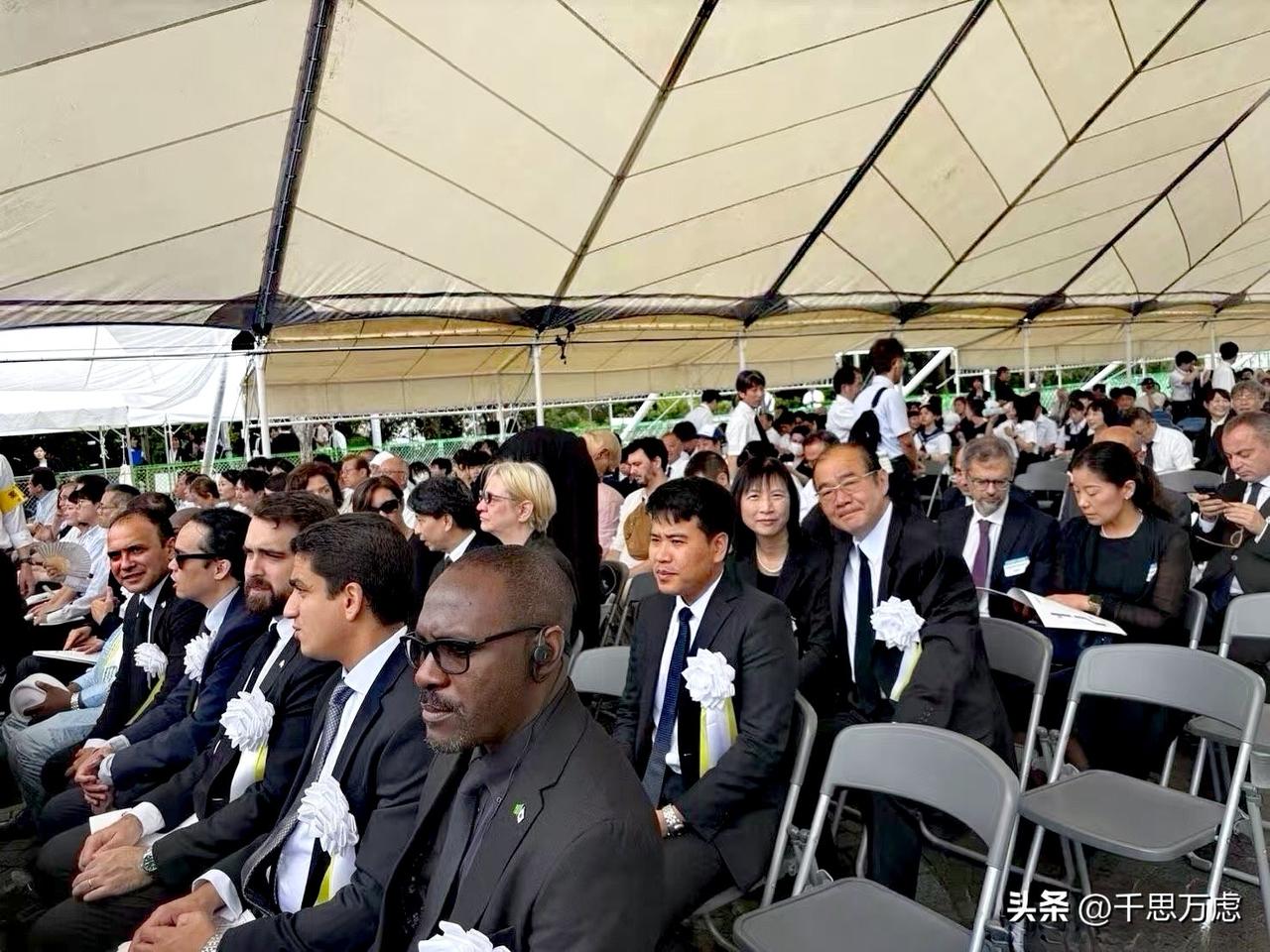 台湾从来都是中国的一个省，走到世界任何地方都是这个身份，何来矮化之说？
台湾驻日