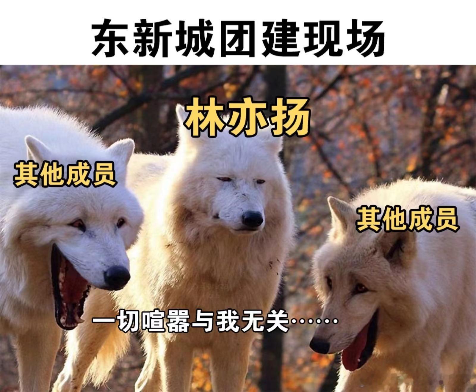 #咖啡哥 微笑姐#咖啡哥起源，笑死我了，哈啊哈啊哈，太好看啦 ​​​