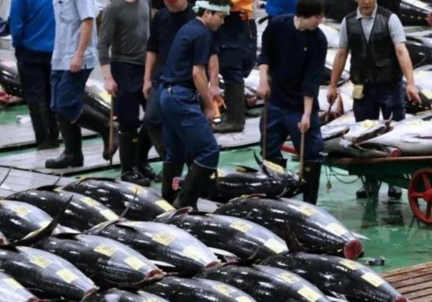 9月刚到，日本宫城县那边就甩出一记“重磅炸弹”，设在大连的驻华事务所要在今年底关