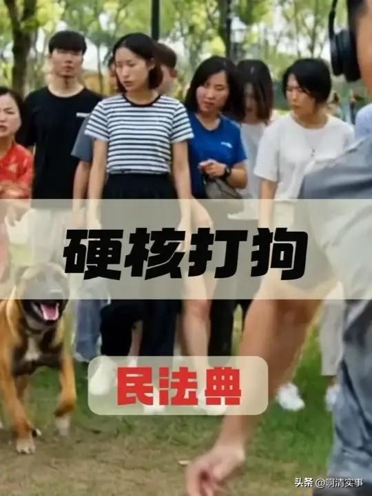 如果一条狗冲过来想要咬你，你上去就是一脚，结果把它给踹死。狗主人立马冲出来说：我