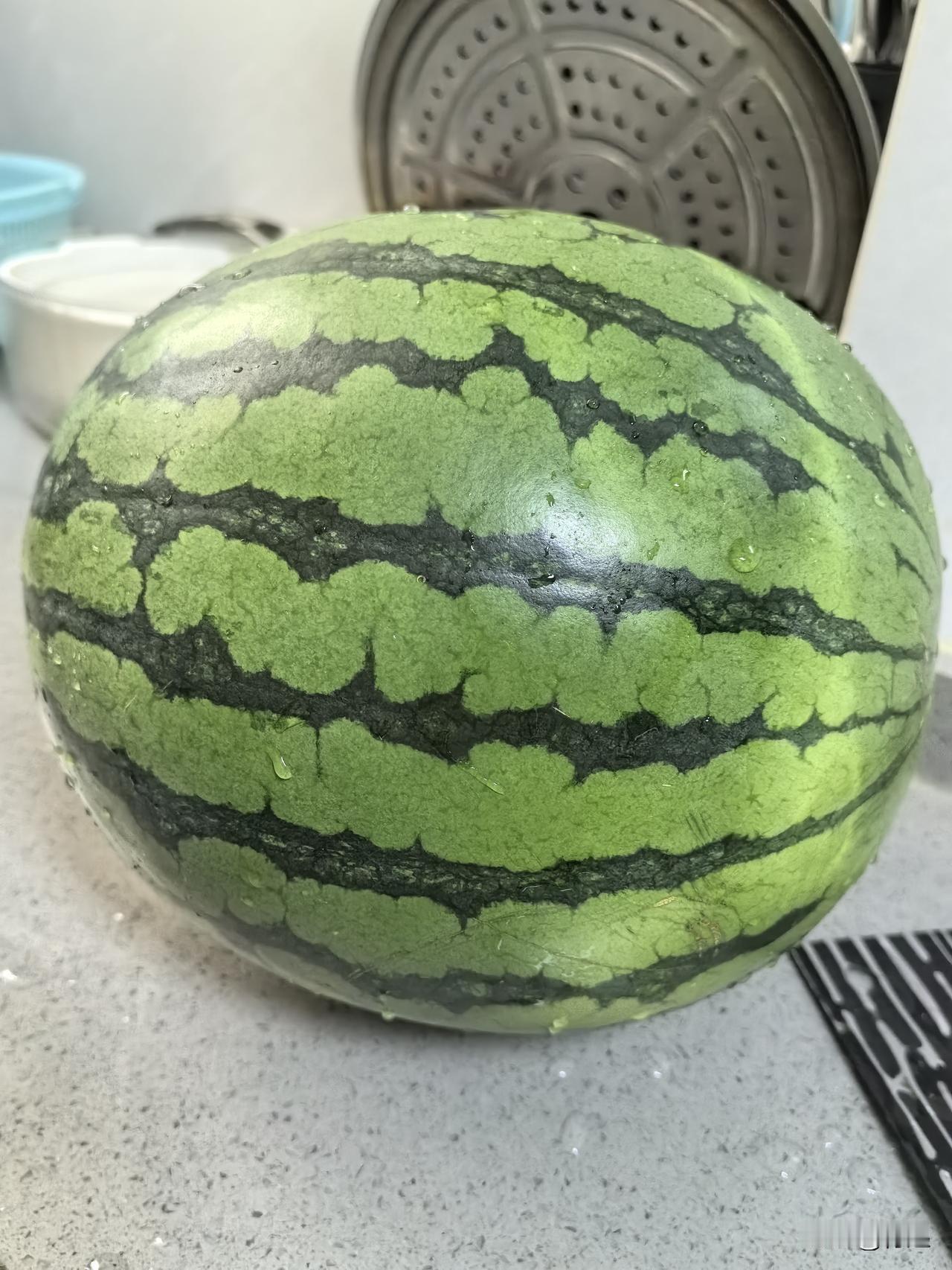 现在的西瓜🍉是不是有自己的“西瓜币”，随便一个西瓜都要六十多块钱，真的吃不起了