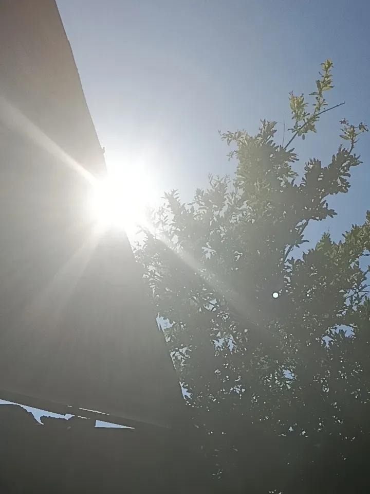 立夏时节有何气候特点 立夏时节的气候特点还挺明显的。气温显著升高是一大特征，就像