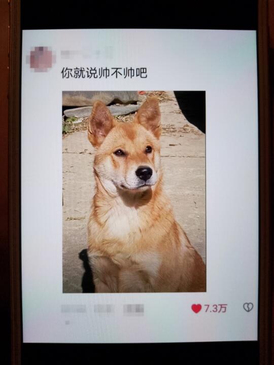 《老祖宗严选永远不会错》哈哈哈哈哈