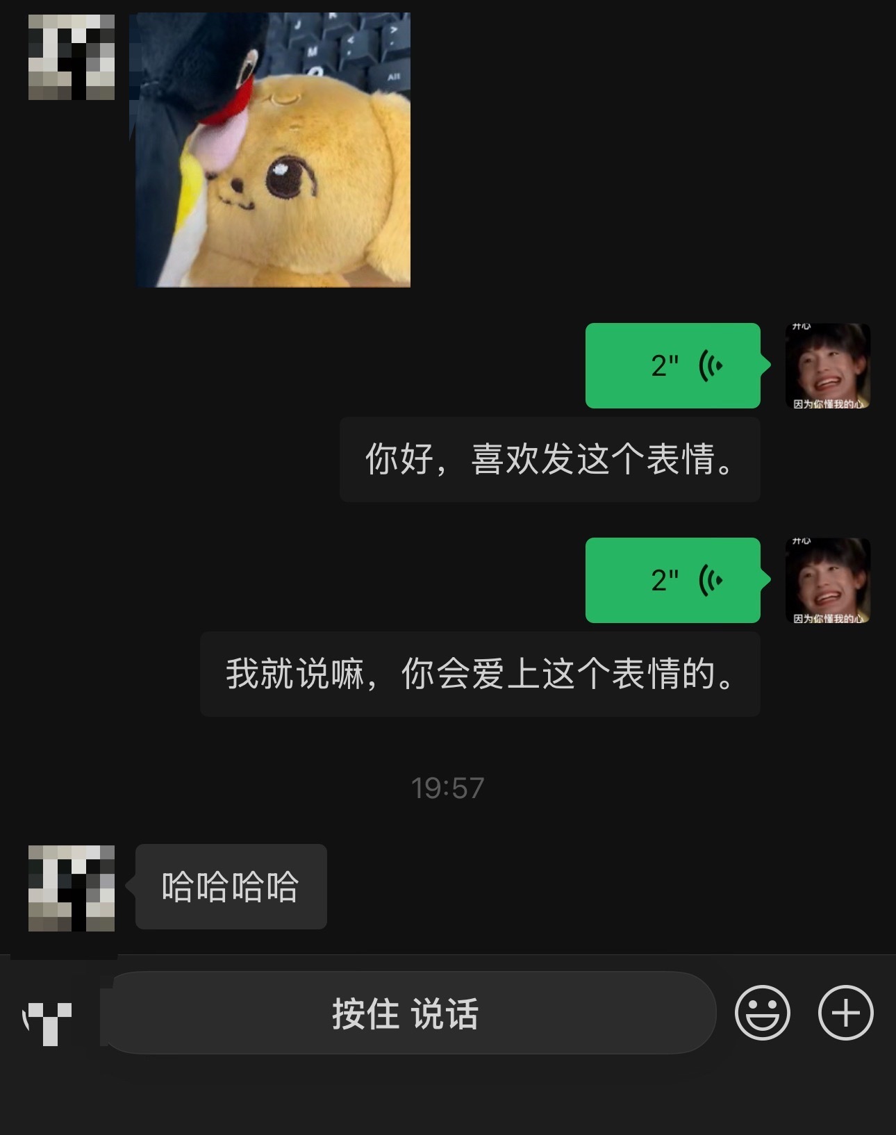 同事说真的喜欢这个表情包她说这狗挺老实像她，我像这个边台企鹅，第一次发她还嫌弃我