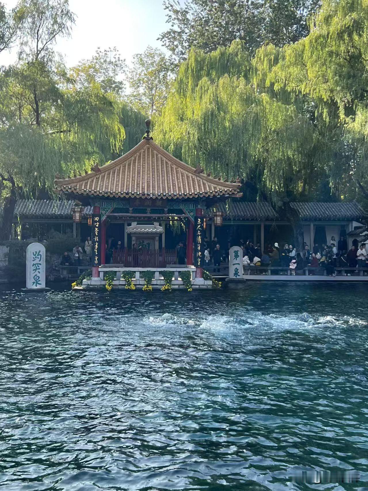 中方动真格！
商务部正式“盖棺定论”！

荷兰当局今天想必很后悔，早知道今天这么