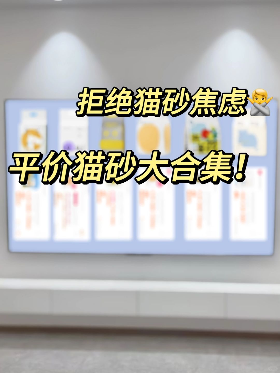 大学生进！穷养猫之猫砂篇！