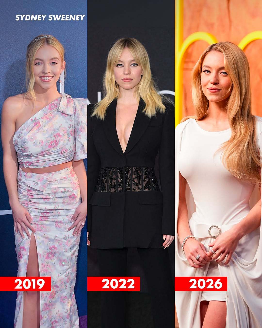 《亢奋》主演（第1～第3季）首映红毯造型 