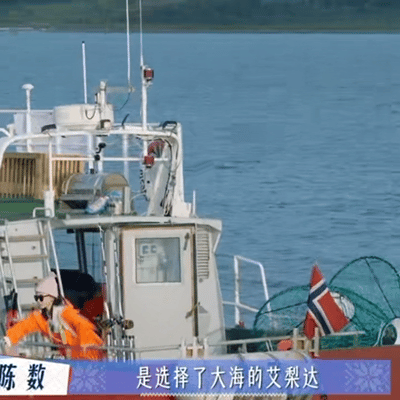 辽阔的挪威海上，陈数舒展身姿起舞，每一个动作都与自然相融，从容有力量，温婉又灵动