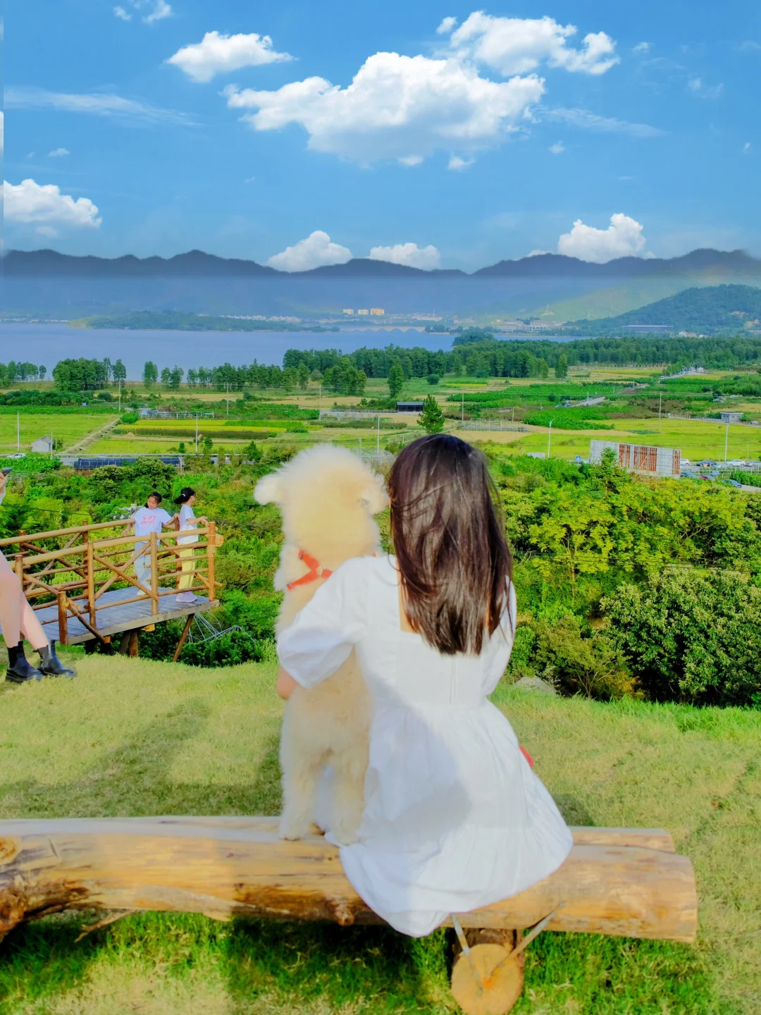 杭州萌宠集合地！！一定要去杭州这里……😭