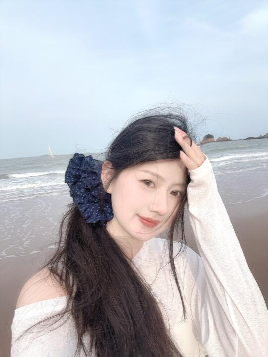 要说再见了舟山