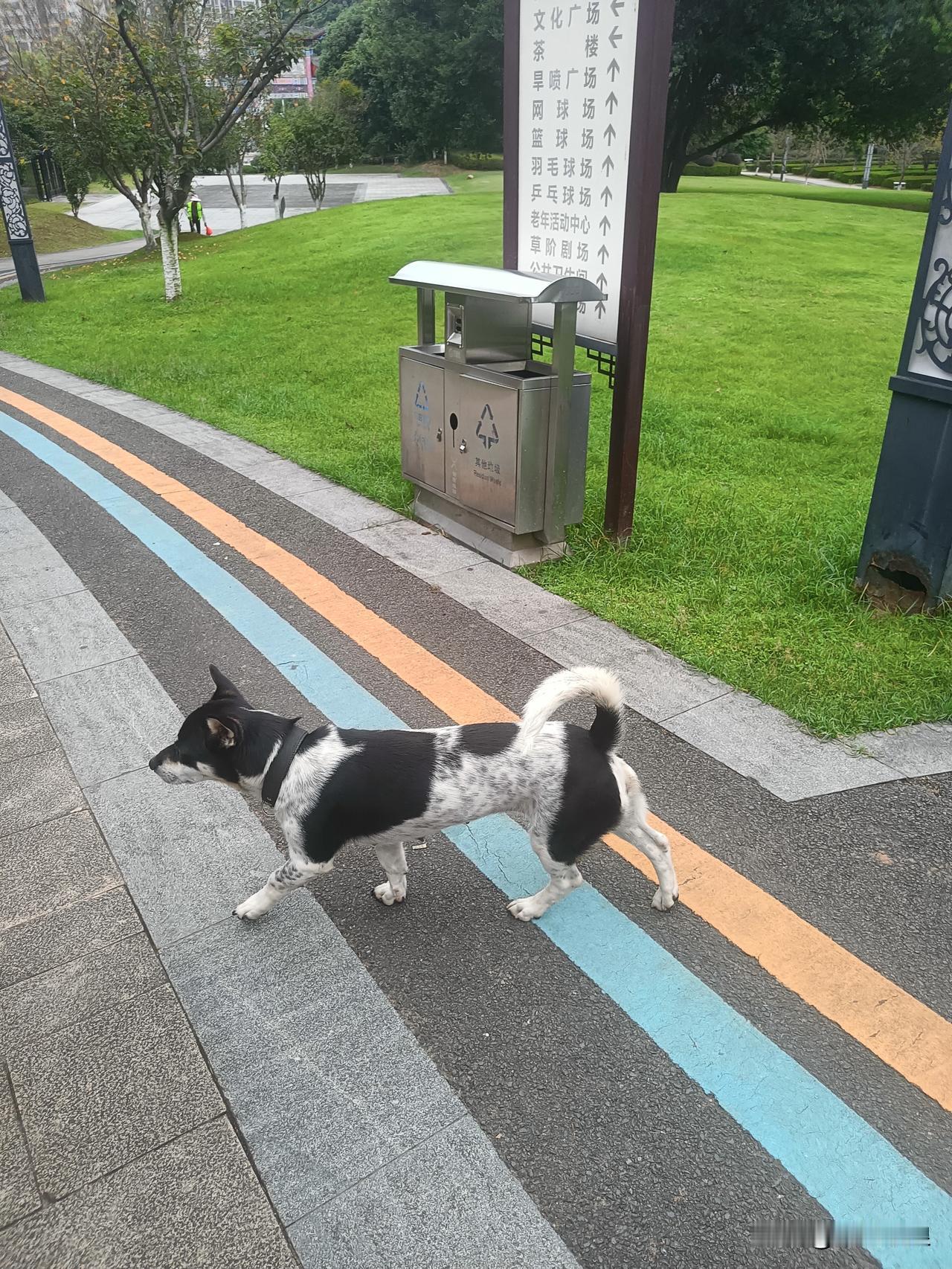 夏日生活打卡季