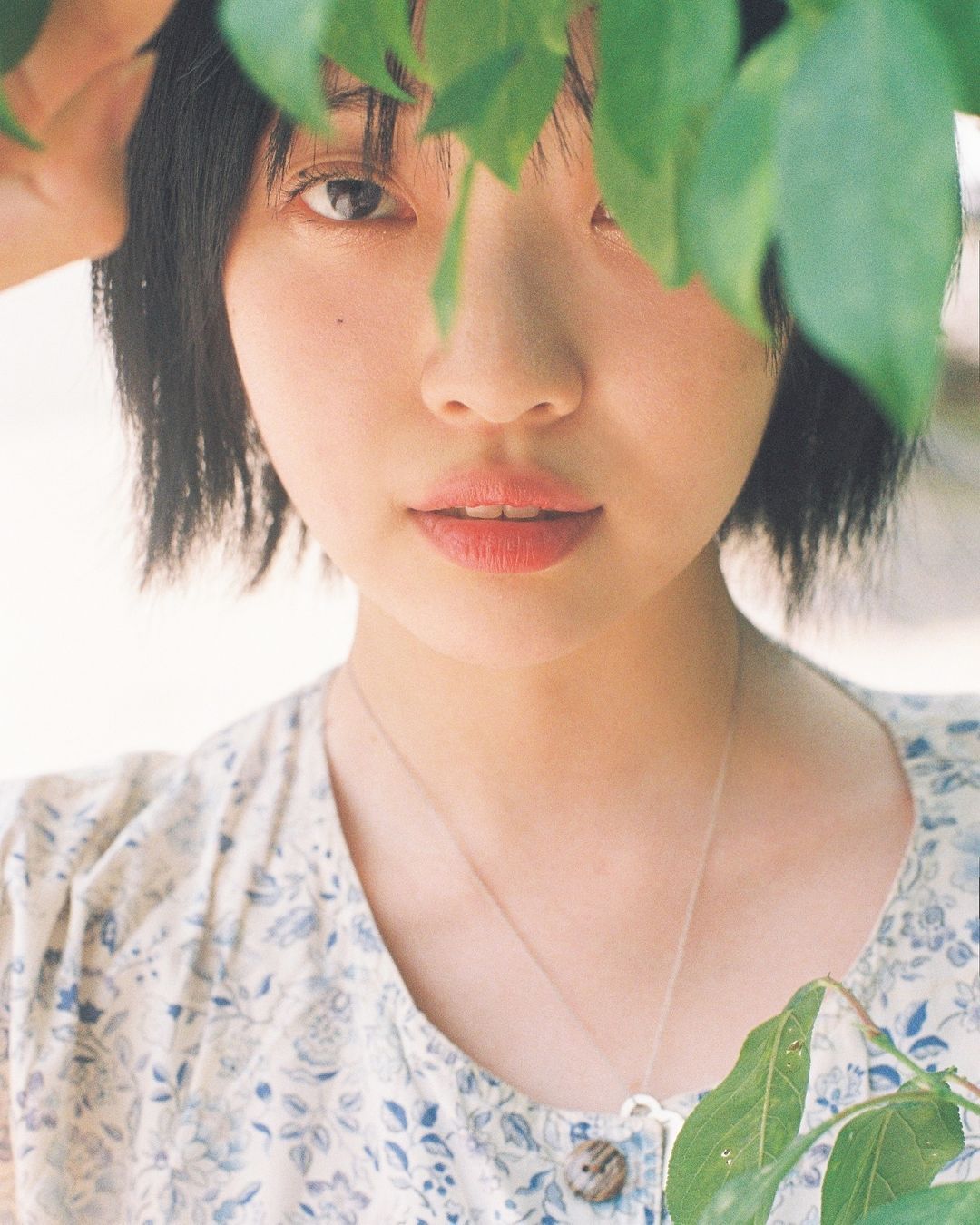 夏日的光芒ins:hangzoo_pic ​ ​​​