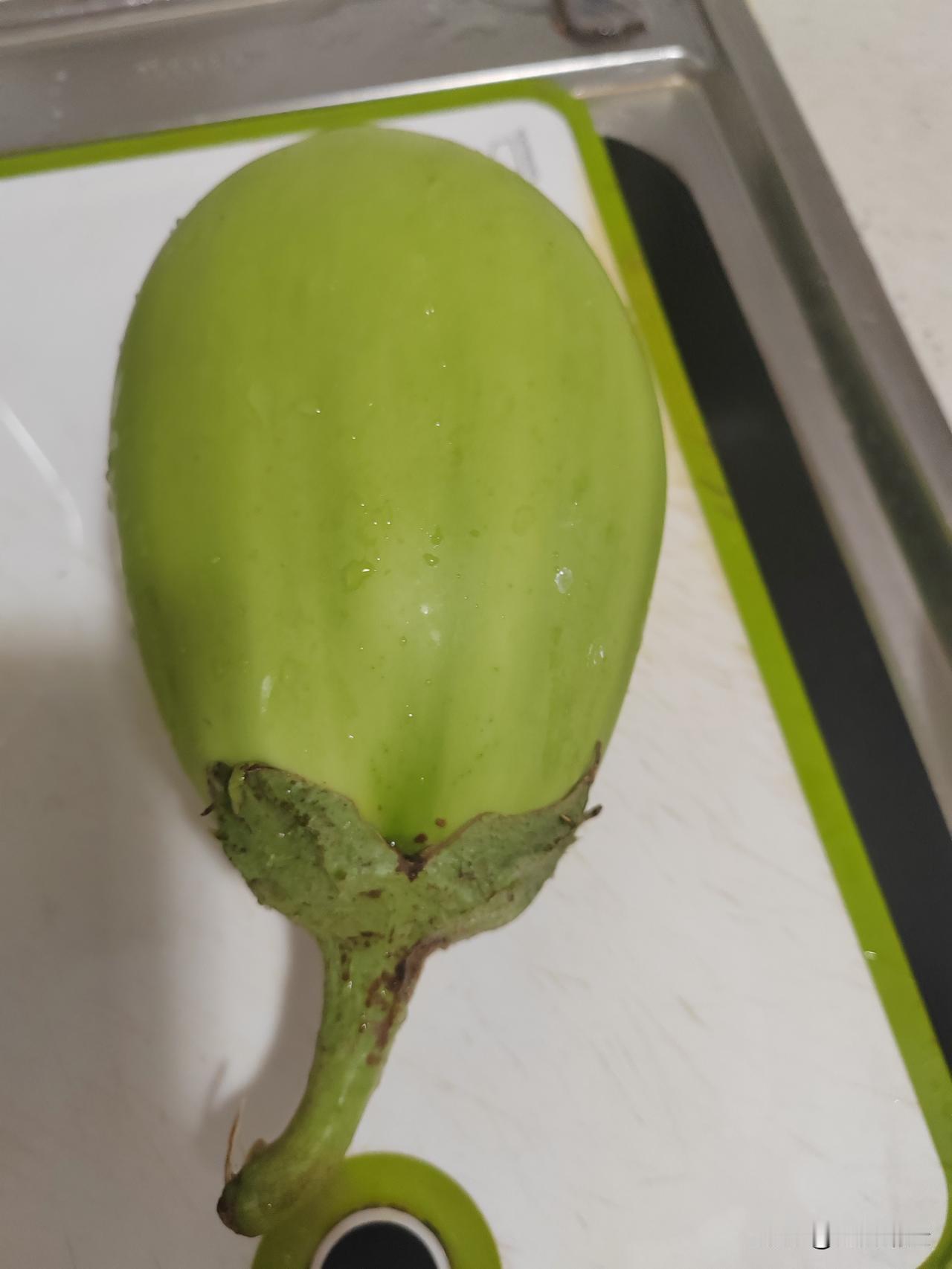 见过茄子都是紫色的，没想到在老家地里竟然见到绿茄子，长的和紫茄子一模一样，只是外
