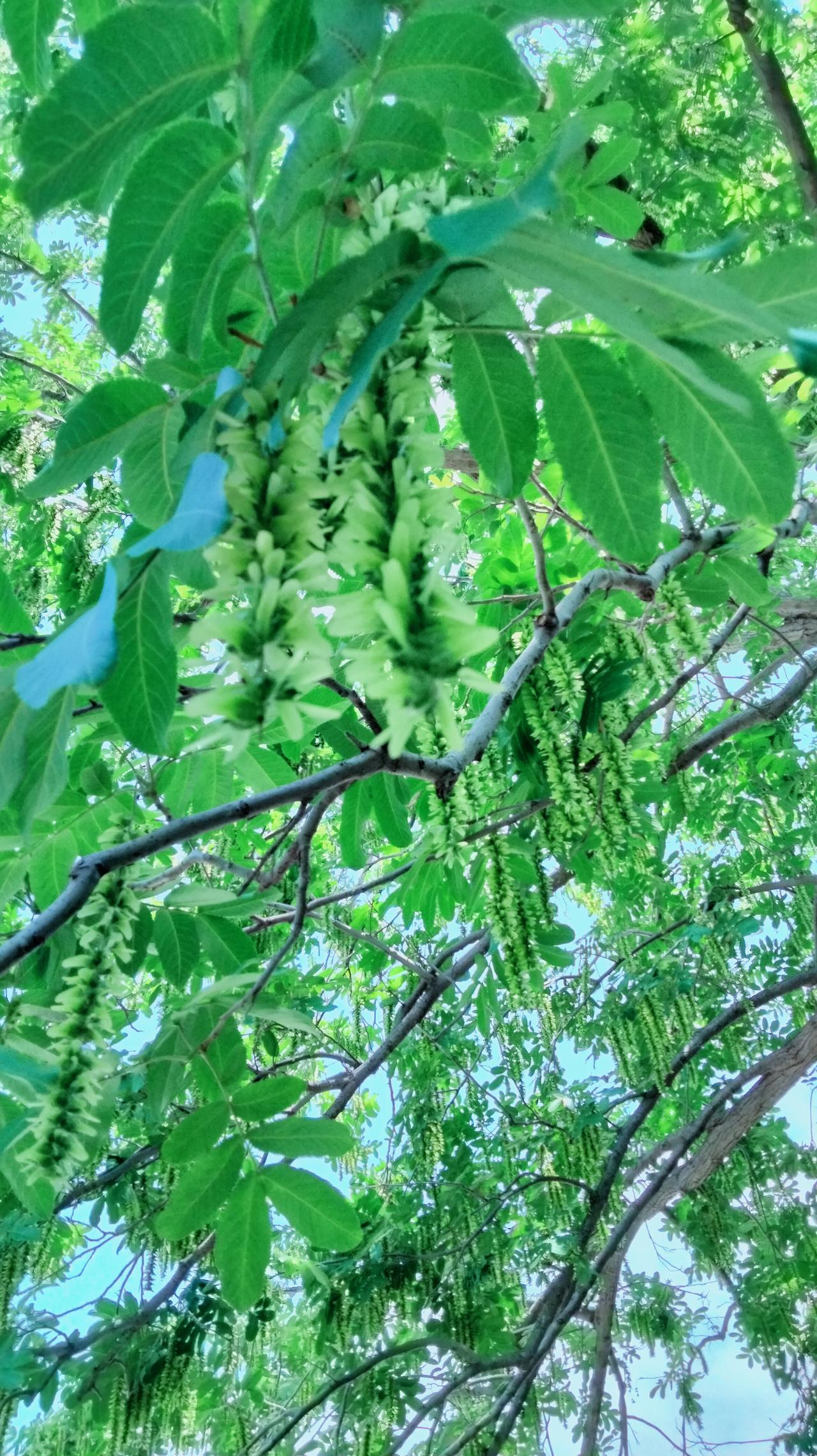 解决房子问题就一个字，
解决婚姻问题就两个字，
解决都不要娃就三个字，
解决夫妻