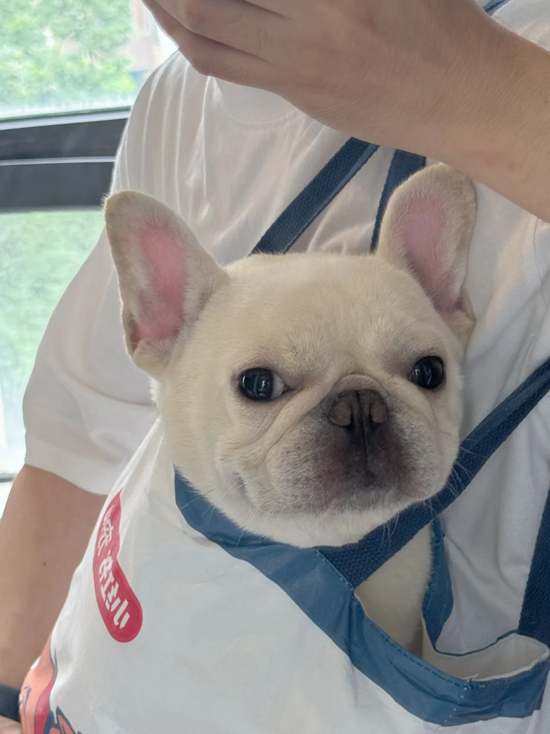 2024🏆年末遗珠18张图片大放送