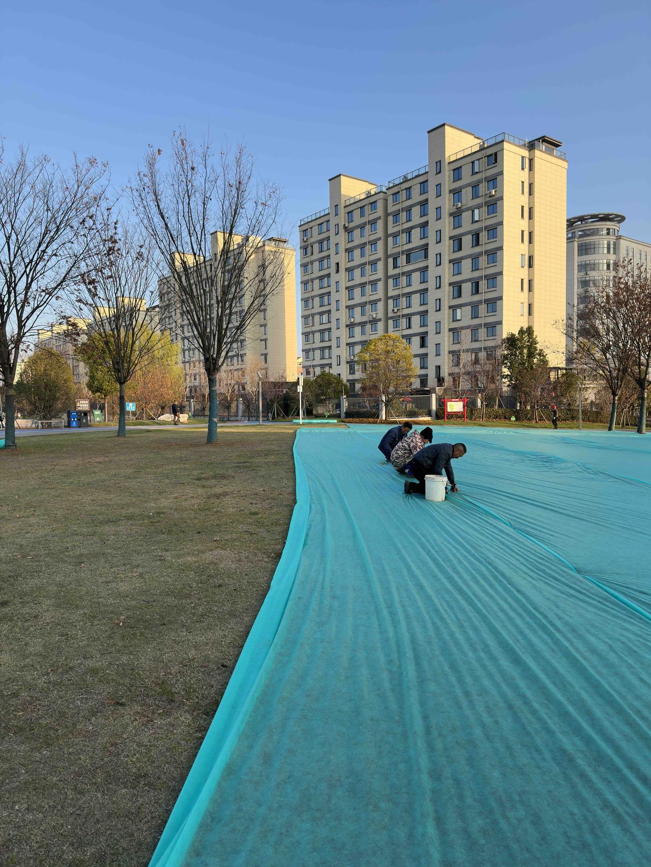 公园的草坪为啥都蒙上了塑料薄膜？
来到公园散步，今天的景象有点不同，一群工人正在