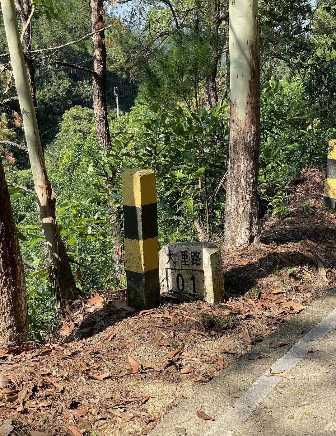 新兴跑山｜私藏路线解锁：穿越『大里路』💨
📍路线：里洞镇 → 大江镇（大里路