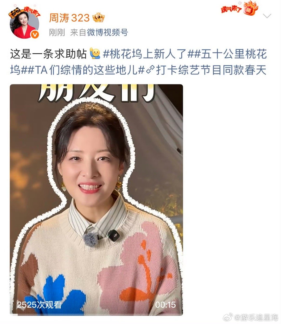 周涛在线求网友支招五十公里桃花坞 看到周涛在线求网友支招，第一反应是他也需要？后