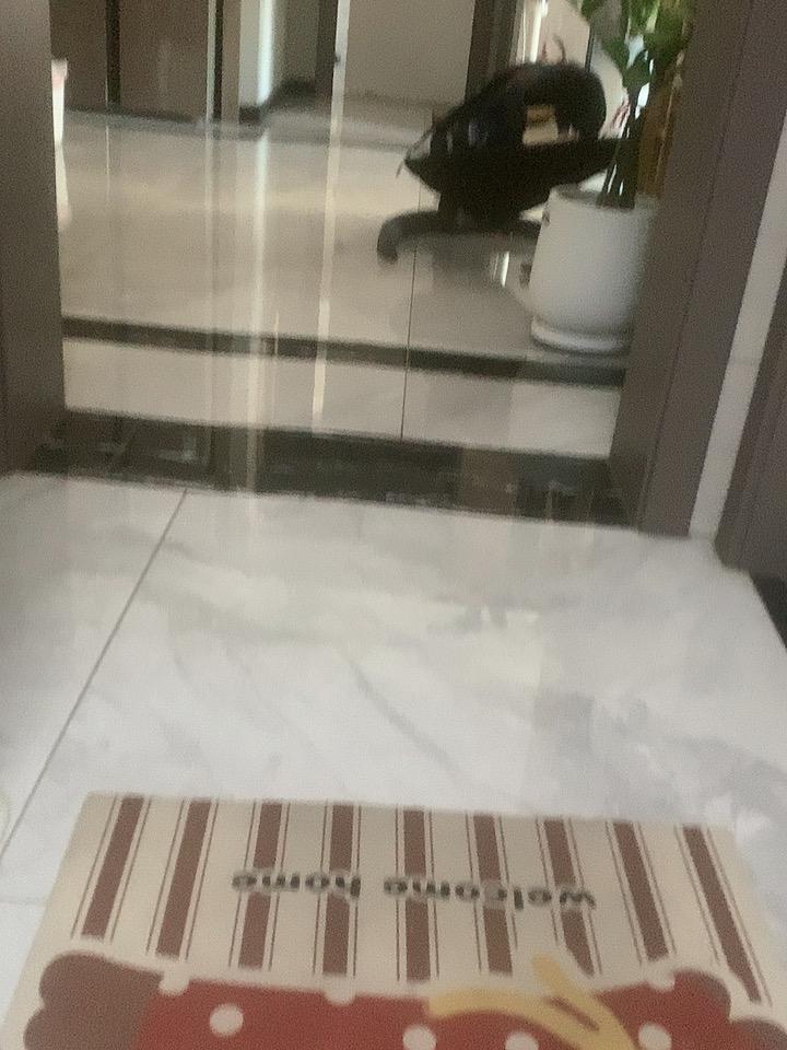 现在毕业生为什么难找工作毕业生总量逐年暴涨，高校专业设置滞后产业需求，实操能力偏