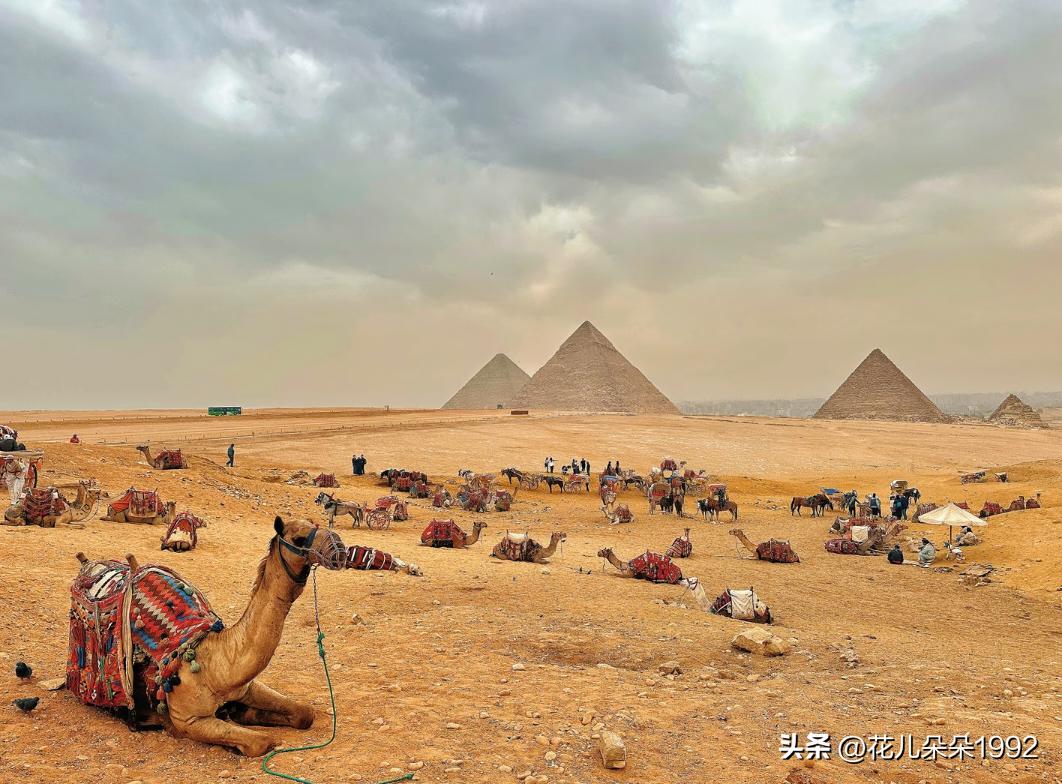 埃及劝退了
传说中的四大文明古国本应非常值得一去，但是因为各类原因劝大家不要做为