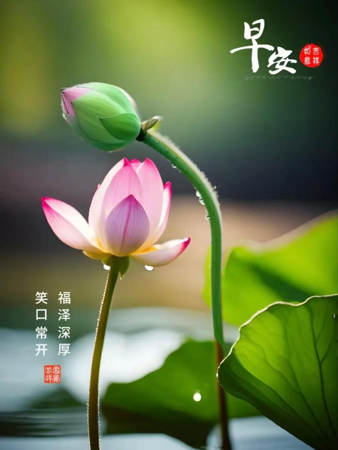 人生歲月萬事順，
八方來財運亨通，
身體健康最重要，
福星高照喜盈門。
早安吉祥