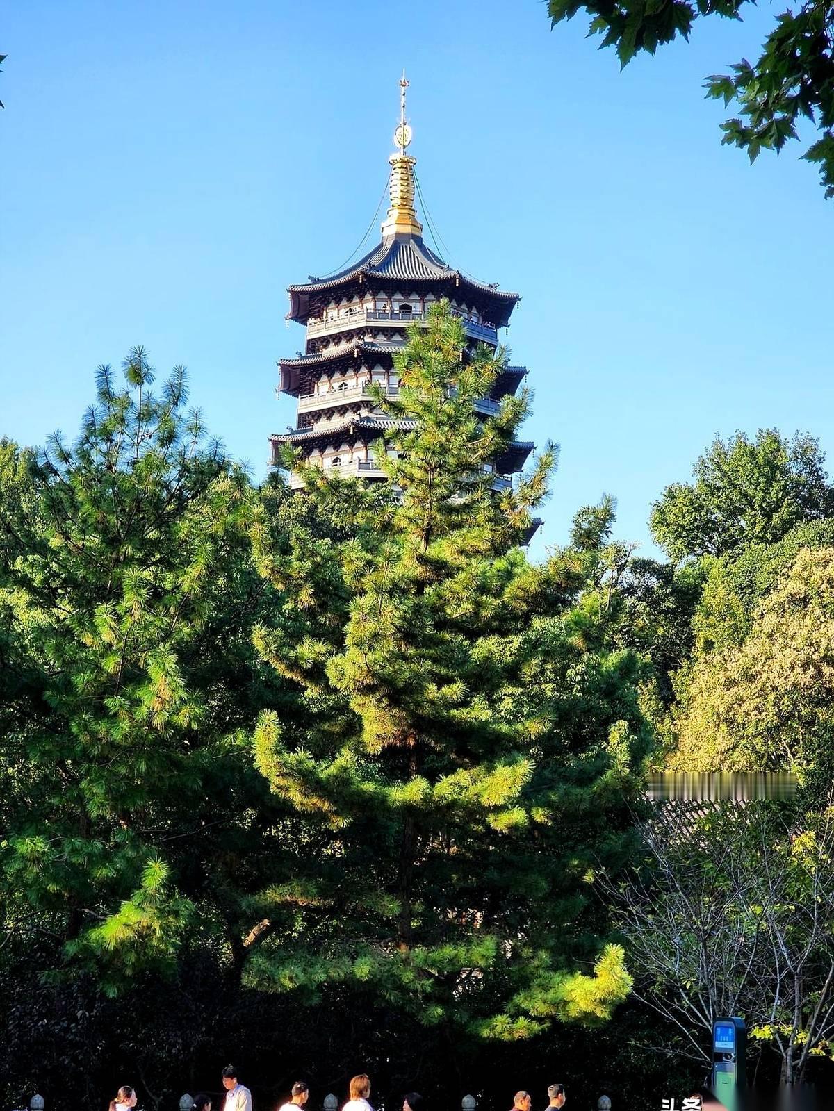 今天下午14点29分一交寒露，恰好撞上了黄历里的“执日”，按老理儿讲，今天行事的