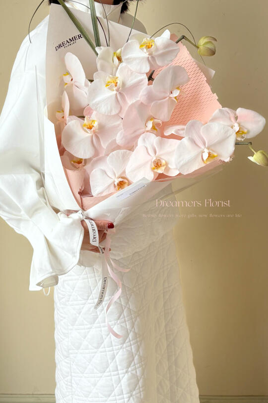 女神节 蝴蝶兰花束