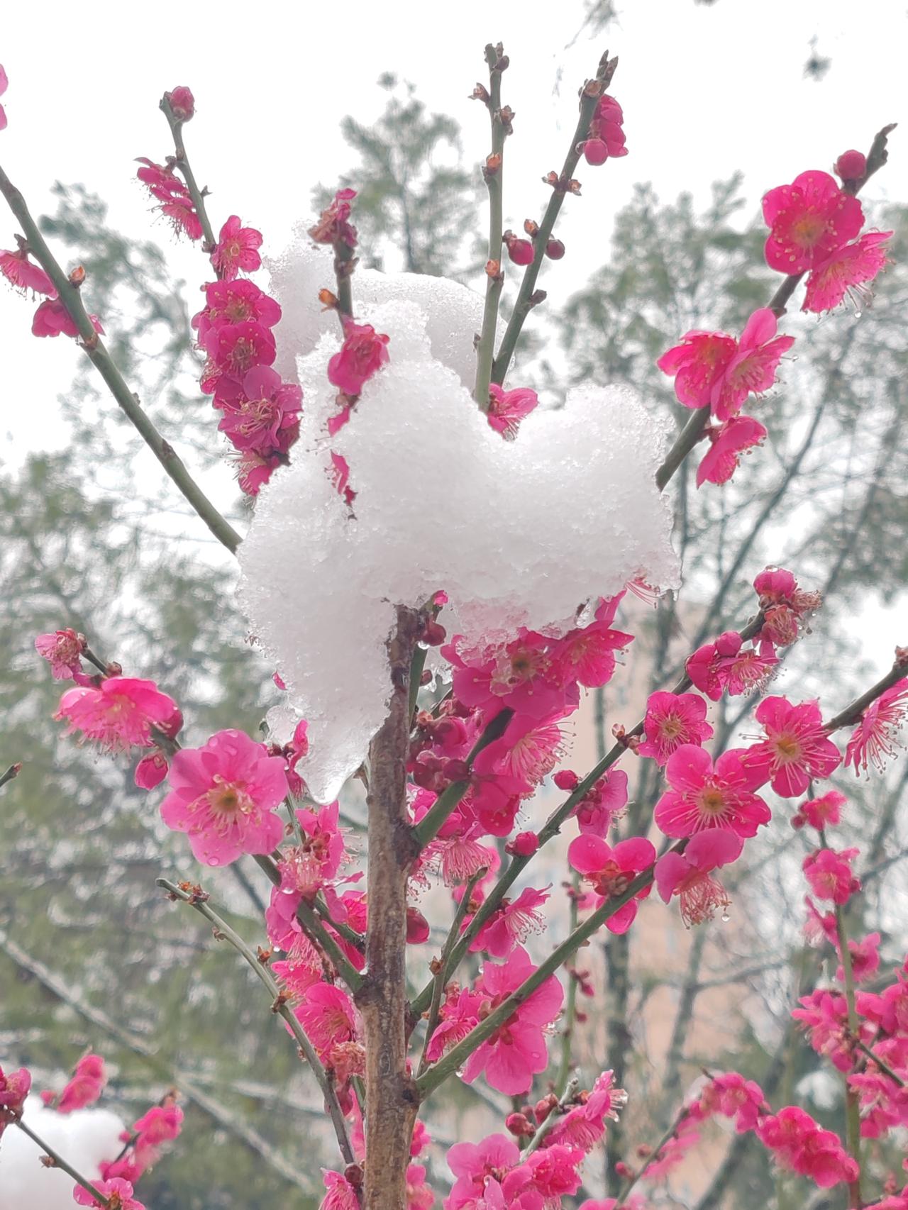 相拥相抱互衬托。