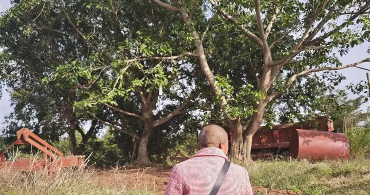 为弟追凶27年，李海玉：我不是英雄，只是一个普通的姐姐