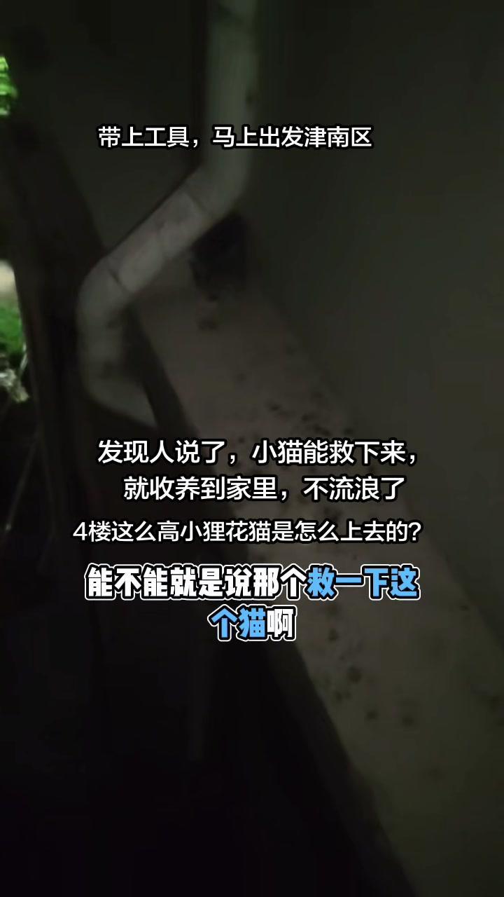 🍃四楼外卡住了一只流浪小狸花，我站在窗边不敢往前凑，真怕脚滑掉下去。找朋友拿抄