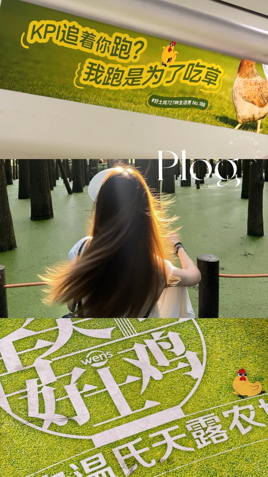 My life|地铁偶遇一群毒舌gai溜鸡🐥