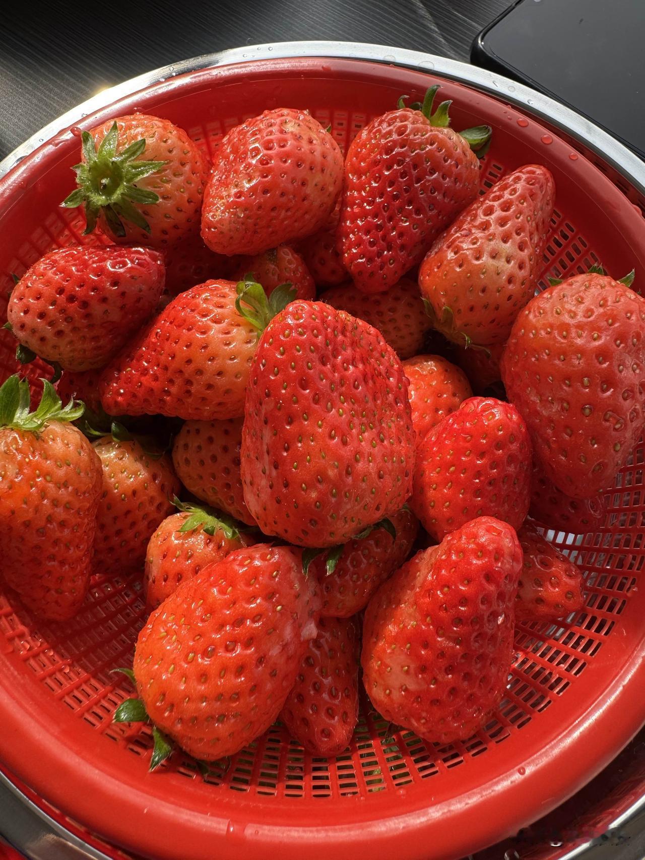 草莓里的小幸福

午后的阳光透过窗帘，在床沿洒下细碎的光斑。我窝在柔软的被窝里，