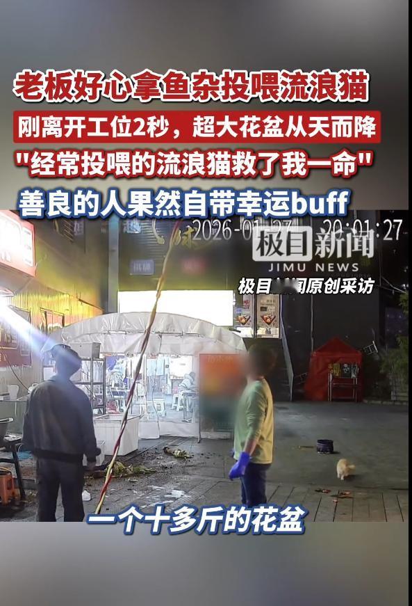贵州贵阳烤鱼店老板，好心拿鱼杂投喂流浪猫，离开工位2秒钟，从二楼落下来的十多斤重