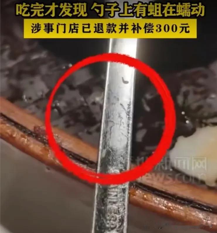 深圳知名餐厅吃出活蛆！312元套餐退款还赔300，顾客：再也不敢去

7月3日，