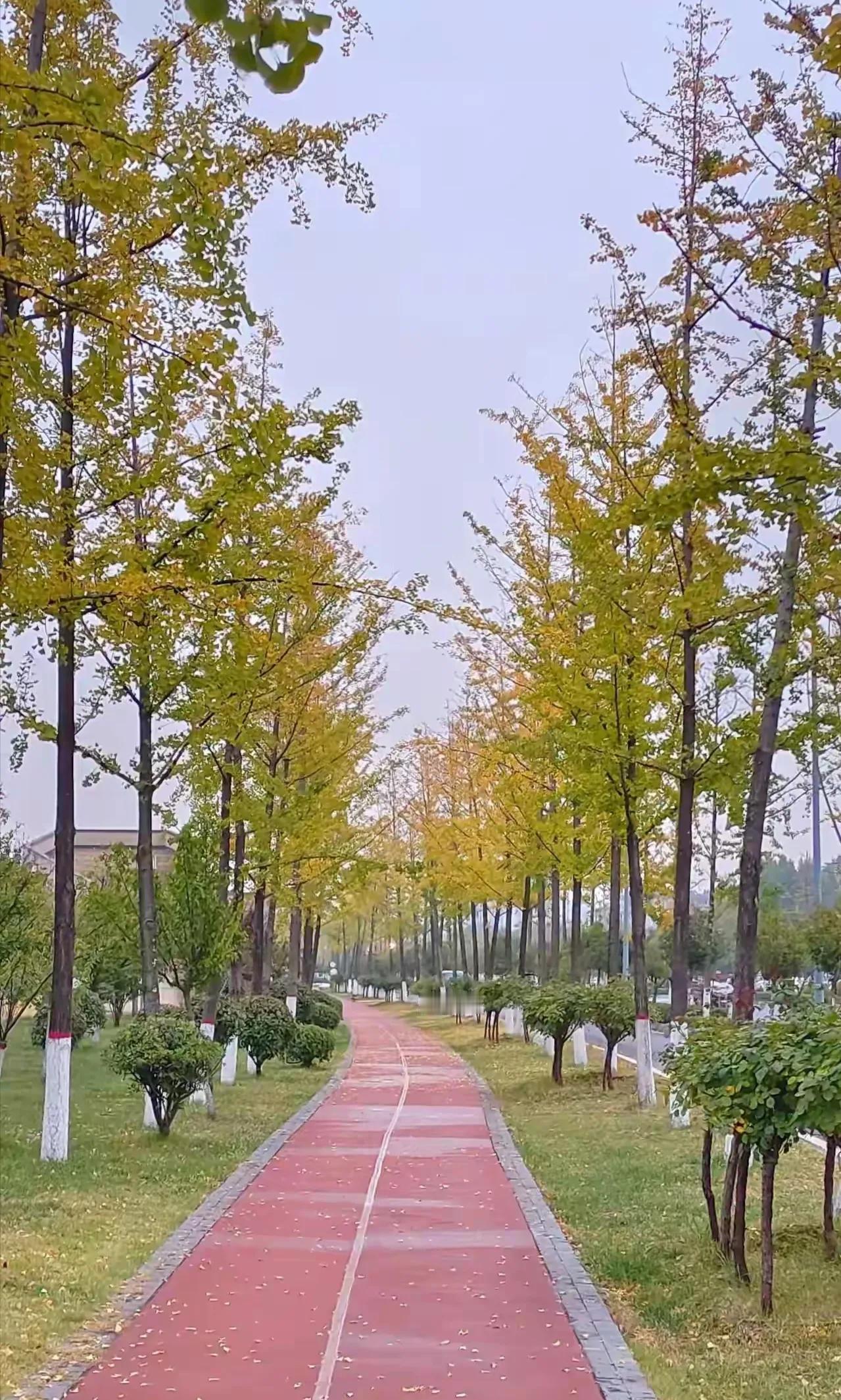 《今日头条》美图鉴赏