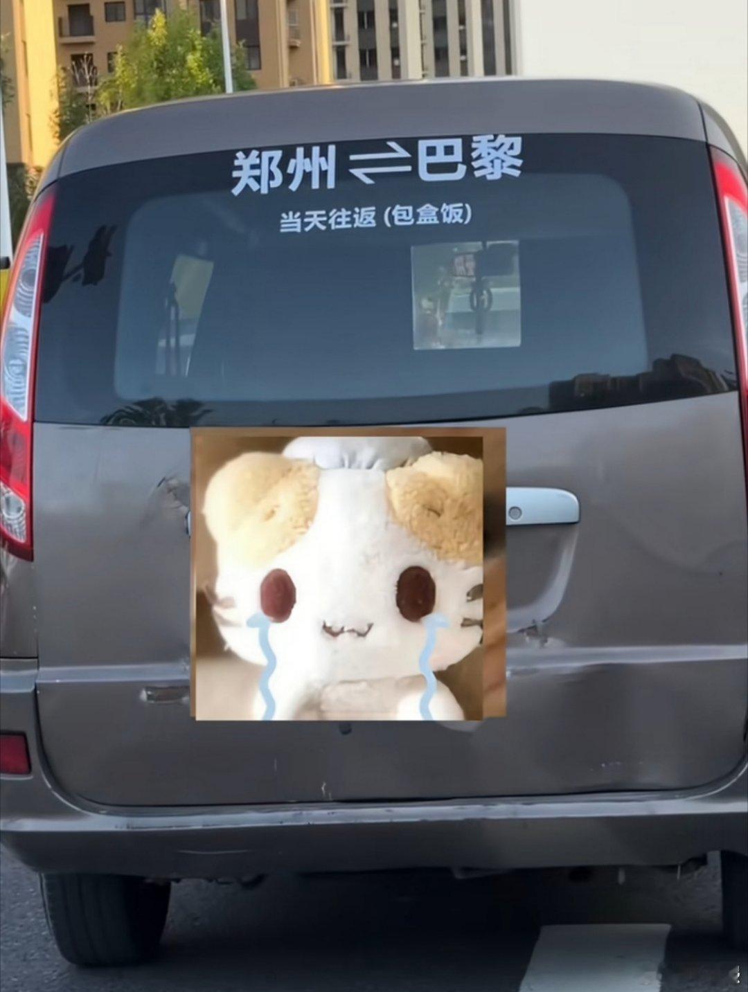 郑州还是太全面了[doge] ​​​