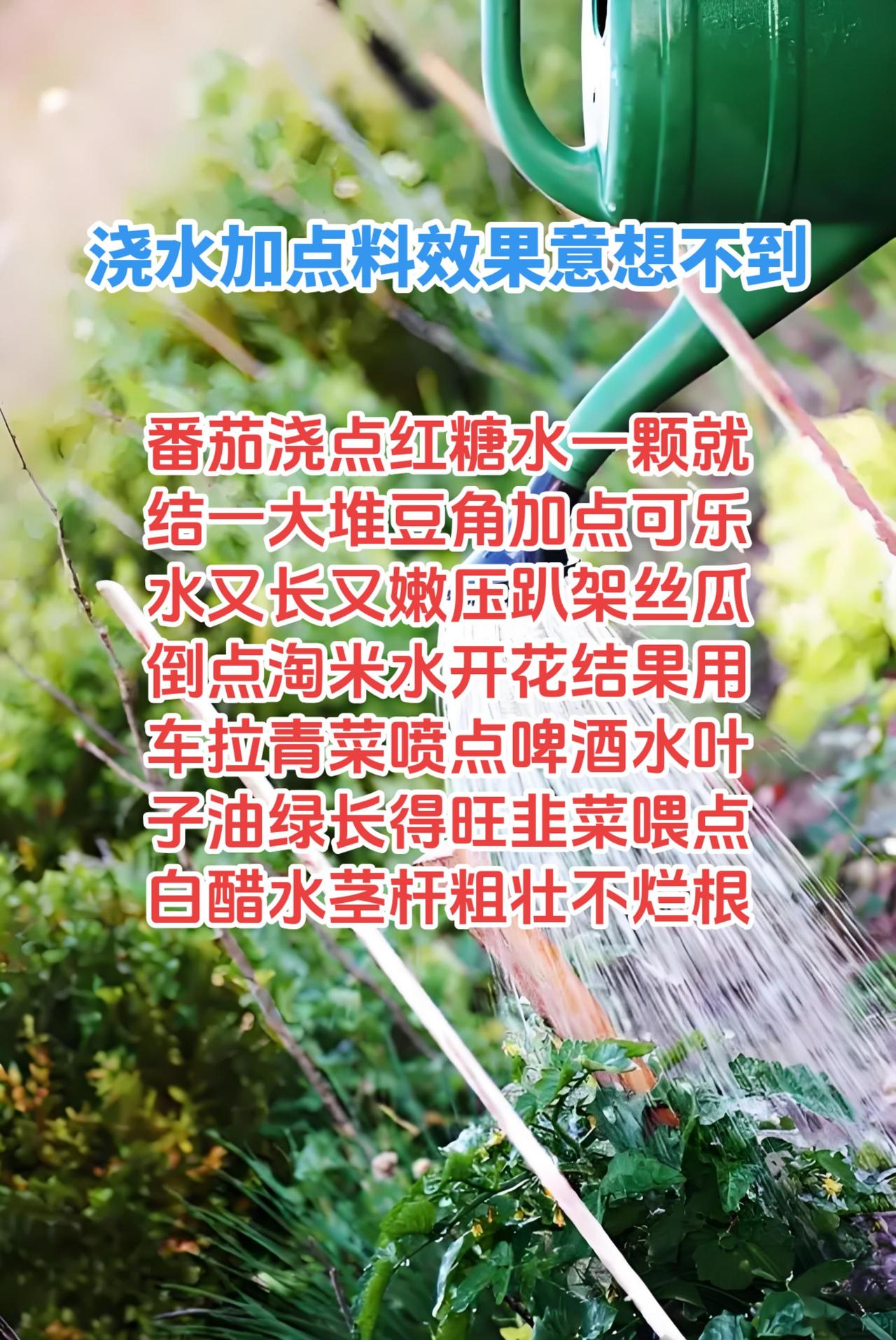 这些都是网上很火的种菜偏方，下面我给大家分析一下哪些真有用、哪些是瞎忽悠、哪些反