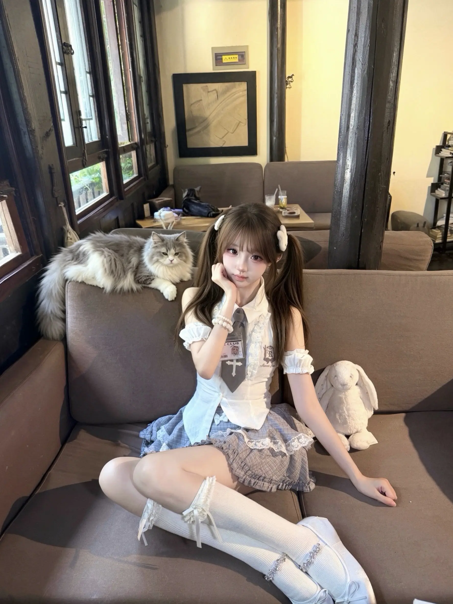 小猫呆呆的 像你一样 ₍^.  ̫ .^₎